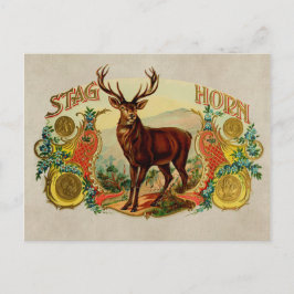 Vintag Stag Horn Postkarte