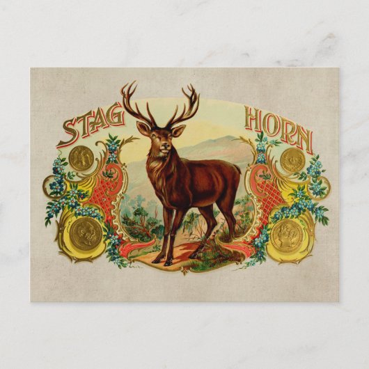 Vintag Stag Horn Postkarte (Vorderseite)