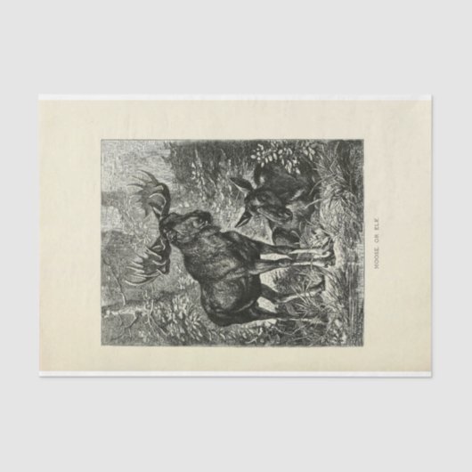 Vintag Stag Moose Ephemera Decoupage Seidenpapier (Vorderseite)