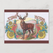 Vintag Stag Postkarte (Vorderseite)