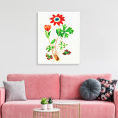 Vintag Star Anemone Leinwanddruck (Insitu (Wohnzimmer))