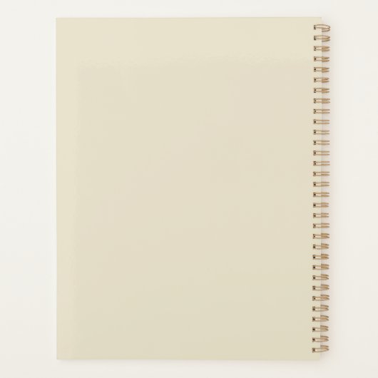 Vintag Steampunk Zeppelin (10) Planer (Rückseite)