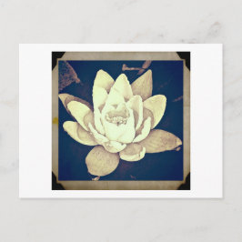 VINTAG STIL LOTUS "FOTOGRAPH" POSTCARD POSTKARTE