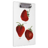 Vintag Strawberry Trio Klemmbrett (Rechts)
