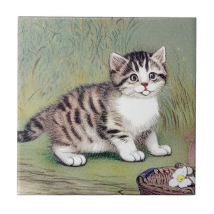 Vintag Striped Kitten Illustration Fliese