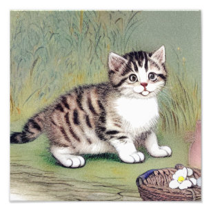 Vintag Striped Kitten Illustration Fotodruck