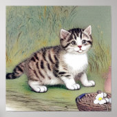 Vintag Striped Kitten Illustration Poster (Vorne)
