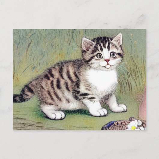 Vintag Striped Kitten Illustration Postkarte (Vorderseite)