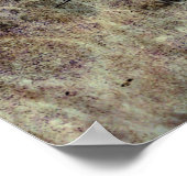 Vintag strukturierter Hintergrund mit Tradit Poster (Ecke)