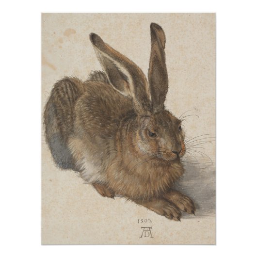 Vintag-Style Albrecht Dürer - Hare Acrylic Poster (Vorderseite)