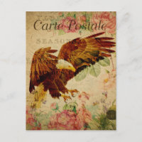 Vintag Style Bald Eagle French Carte Postale