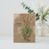 Vintag Style Basil Herb Postkarte (Stehend Vorderseite)
