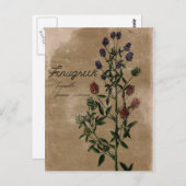 Vintag Style Fenugreek Herb Postcard Postkarte (Vorne/Hinten)