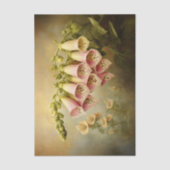 Vintag Style Foxglove Illustration EG1R Decoupage Seidenpapier (Vorderseite)