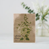 Vintag Style Lemon Balm Postkarte (Stehend Vorderseite)