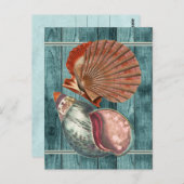 Vintag Style Seashells Postkarte (Vorne/Hinten)