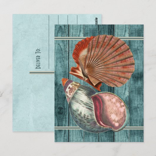 Vintag Style Seashells Postkarte (Vorne/Hinten)