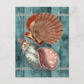 Vintag Style Seashells Postkarte (Vorderseite)