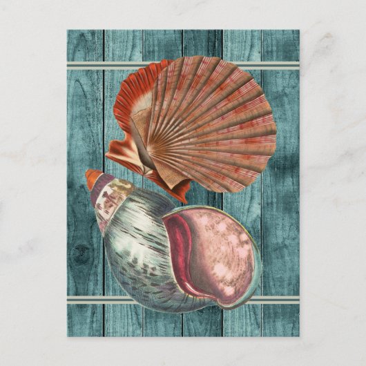Vintag Style Seashells Postkarte (Vorderseite)