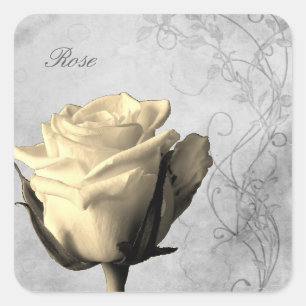 Vintag Style Single Rosen Shabby Quadratischer Aufkleber