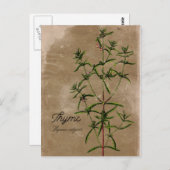 Vintag Style Thyme Herb Postcard Postkarte (Vorne/Hinten)