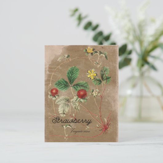 Vintag Style Wild Strawberry Postcard Postkarte (Stehend Vorderseite)
