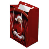 Vintag Stylish Mrs Claus Mittlere Geschenktüte (Vorderseite Schrägansicht)