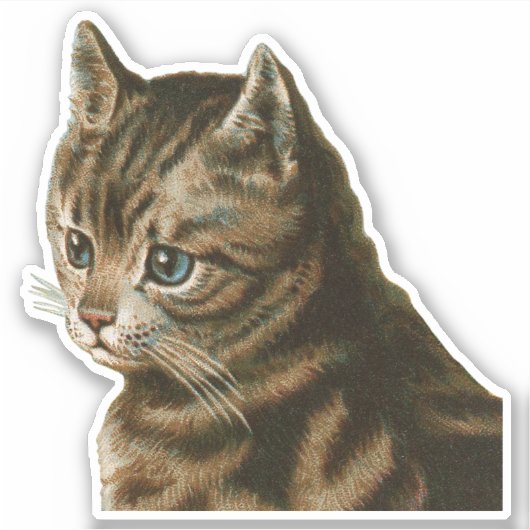 Vintag Tabby Cat Aufkleber (Vorderseite)