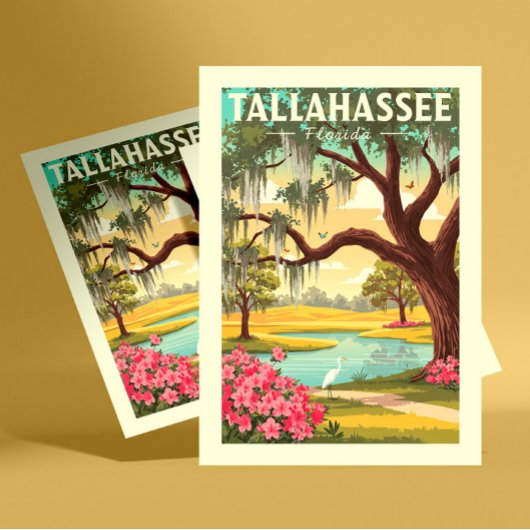 Vintag Tallahassee Florida Postkarte