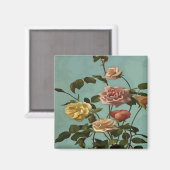 Vintag Tee Rose und Rose Magnet (Vorderseite/Rückseite)