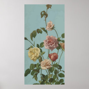 Vintag Tee Rose und Rose Poster