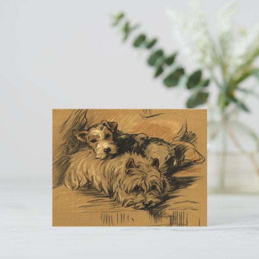 Vintag Terrier und Westie Postkarte (Stehend Vorderseite)