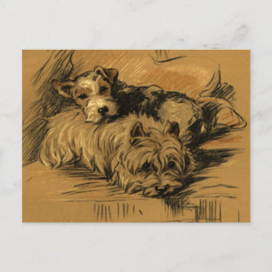 Vintag Terrier und Westie Postkarte