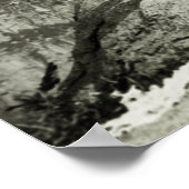 Vintag Theodore Roosevelt Yosemite Poster (Ecke)