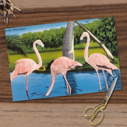 Vintag Three Florida Flamingos Seidenpapier