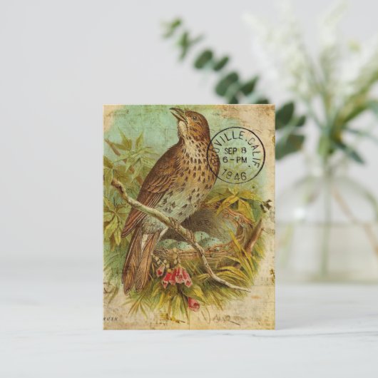 Vintag Thrush Bird Postkarte (Stehend Vorderseite)