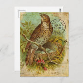 Vintag Thrush Bird Postkarte (Vorne/Hinten)