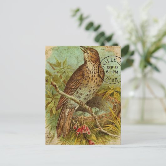 Vintag Thrush Postkarte (Stehend Vorderseite)