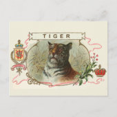 Vintag Tiger Postkarte (Vorderseite)