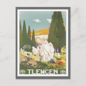 Vintag Tlemcen Algerien Postkarte (Vorderseite)