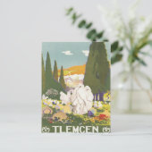 Vintag Tlemcen Algerien Postkarte (Stehend Vorderseite)