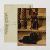 Vintag Toy Hunde Postkarte (Vorne/Hinten)