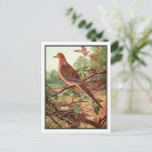 Vintag-Trauertaube - Robert Bruce Horsfall Postkarte (Stehend Vorderseite)