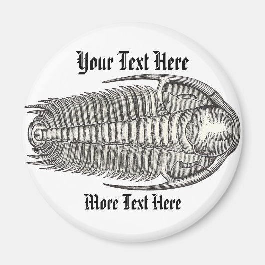 Vintag Trilobite Magnet (Vorne)