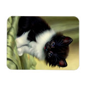 Vintag Tuxedo Kitten Illustration Magnet (Horizontal)