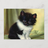 Vintag Tuxedo Kitten Illustration Postkarte (Vorderseite)
