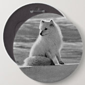 Vintag USA Alaska Arctic fox Button (Vorne & Hinten)