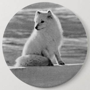 Vintag USA Alaska Arctic fox Button