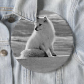 Vintag USA Alaska Arctic fox Button (Beispiel)