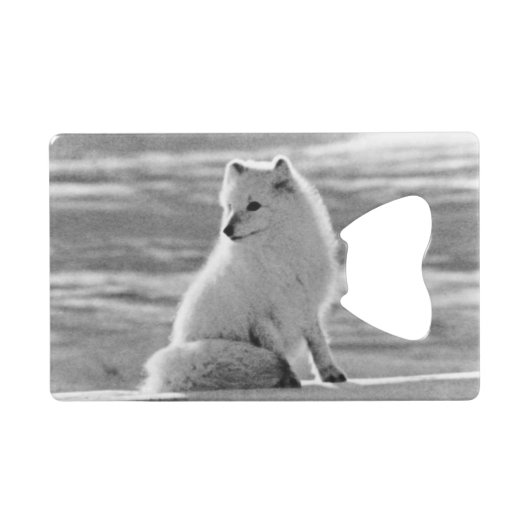 Vintag USA Alaska Arctic fox Geldbeutel Flaschenöffner (Vorderseite (Horizontal))